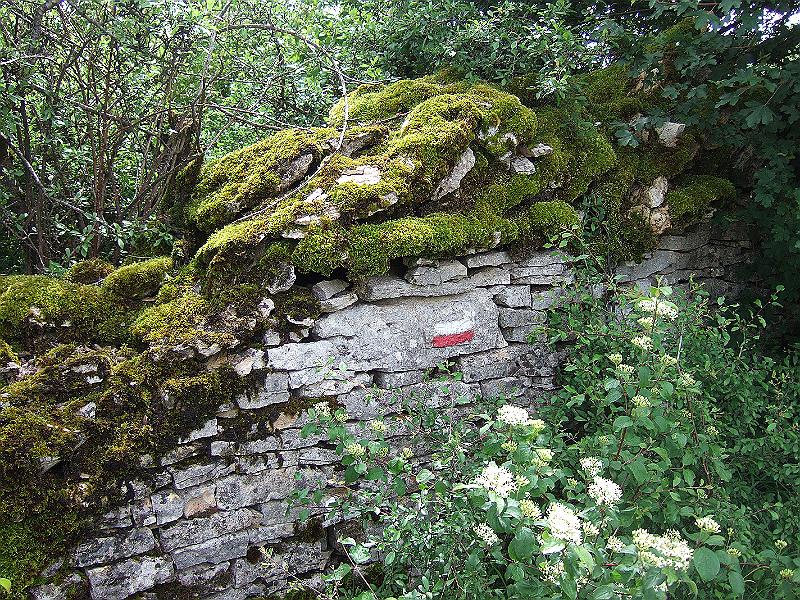2010-05- (52).JPG